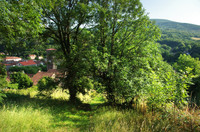 Terrain à Labastide-Rouairoux, Tarn - photo 4