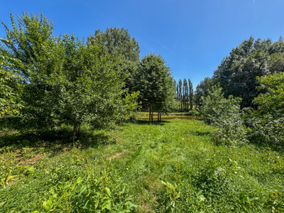 French property for sale in Breuil-Barret, Vendée - €41,600 - photo 5