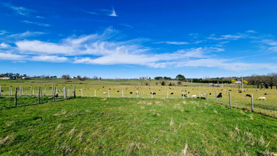 French property for sale in Saint-Antoine-sur-l'Isle, Gironde - €417,000 - photo 9