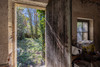 French property for sale in Fumel, Lot-et-Garonne - €33,600 - thumbnail 14