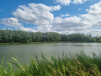 Lacs à Connerré, Sarthe - photo 8