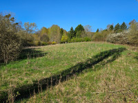 Propriété à vendre à Touquettes, Orne - 30 000 € - photo n°7