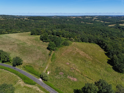 French property for sale in Villac, Dordogne - €371,000 - photo 5