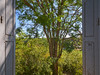 French property for sale in Hautefort, Dordogne - €50,600 - thumbnail 9