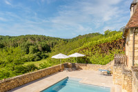 Propriété à vendre à Les Eyzies-de-Tayac-Sireuil, Dordogne - 595 000 € - photo n°2