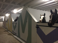 Chateau à vendre à Écouché-les-Vallées, Orne - 2.438.000 € - photo 10