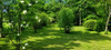 French property for sale in Corvol-l'Orgueilleux, Nièvre - €155,000 - thumbnail 14