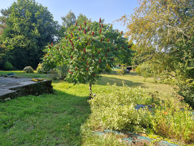 French property for sale in La Gacilly, Morbihan - €381,600 - photo 9