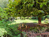 French property for sale in Lamonzie-Saint-Martin, Dordogne - €299,500 - thumbnail 9