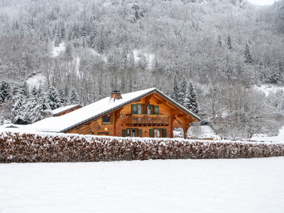 Ski property for sale in Abondance - €595,000 - photo 0