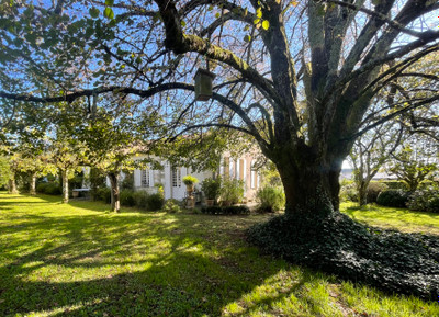 Beautifully renovated stone house in immaculate enclosed garden. Calm but close to amenities.