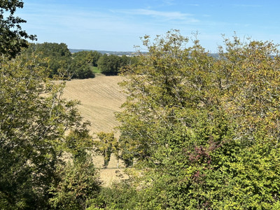 French property for sale in Douchapt, Dordogne - €194,400 - photo 8