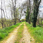 Maison à vendre à Betbezer-d'Armagnac, Landes - 193.550 € - photo 5