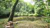 French property for sale in Domfront en Poiraie, Orne - €148,351 - thumbnail 11