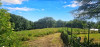 French property for sale in Saint-Hilaire-de-Voust, Vendée - €249,000 - thumbnail 13