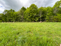 Terrain à vendre à Saint-Astier, Dordogne - 56.600 € - photo 2