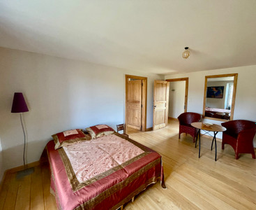 Authentic 16th century Manor House, completely restored.
