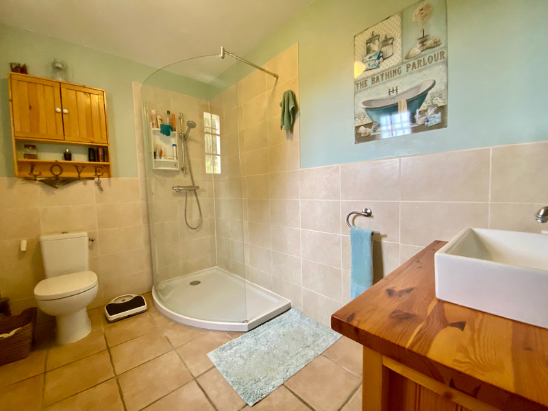 French property for sale in Massignac, Charente - €256,500 - photo 6