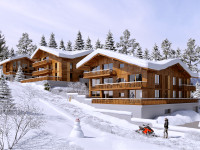 French ski chalets, properties in COMBLOUX, Combloux, Domaine Evasion Mont Blanc