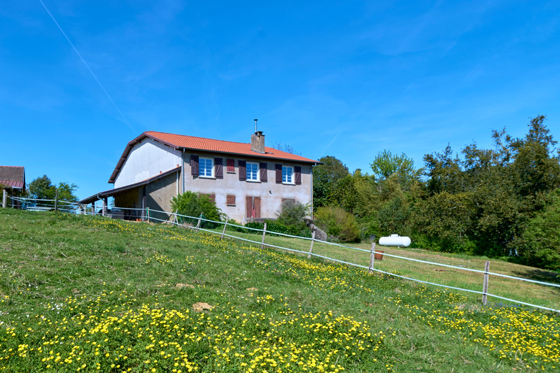 French property for sale in Habas, Landes - €340,000 - photo 1