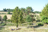 French property for sale in Laparade, Lot-et-Garonne - €148,500 - thumbnail 11