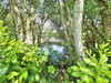 French property for sale in Châtillon-sur-Colmont, Mayenne - €250,000 - thumbnail 14