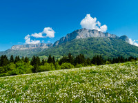 Propriété à vendre à Argonay, Haute-Savoie - 350 000 € - photo n°10
