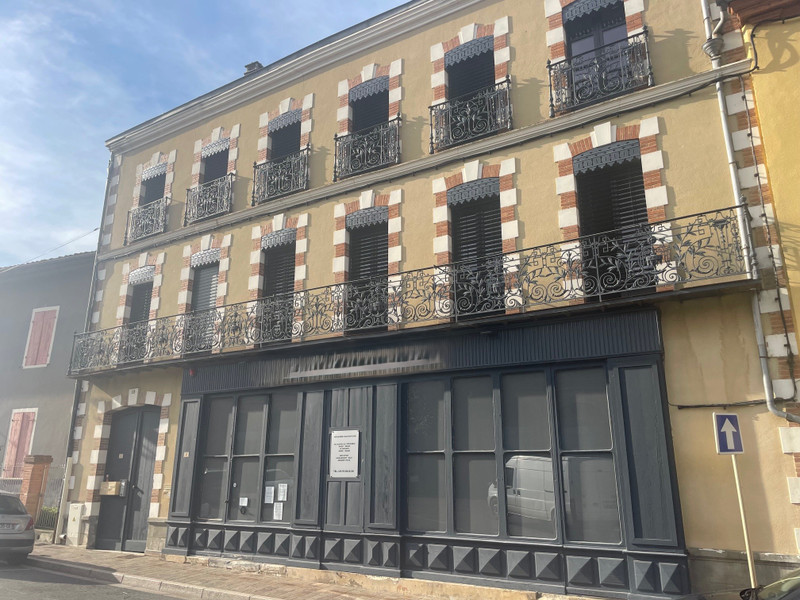 Immeuble à vendre à L'Isle-en-Dodon, Haute-Garonne - 424.000 € - photo 1