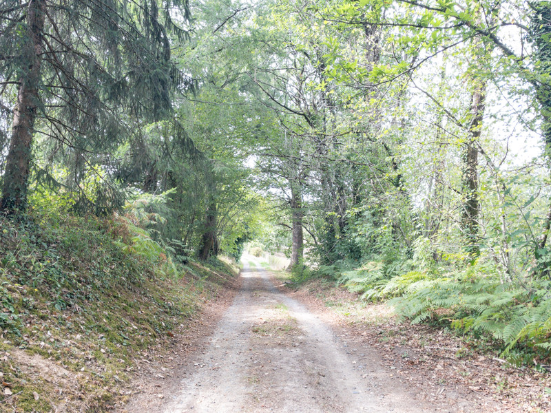French property for sale in Chéronnac, Haute-Vienne - €299,600 - photo 2