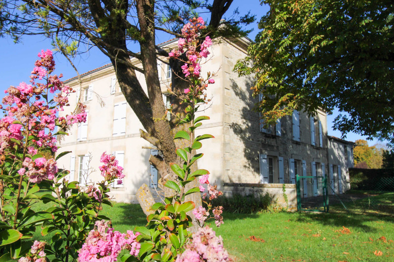 Maison à vendre à Les Églises-d'Argenteuil, Charente-Maritime - 577.500 € - photo 1