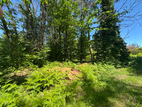 Terrain à vendre à Chancelade, Dordogne - 59.000 € - photo 5