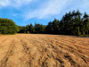 French property for sale in Locarn, Côtes-d'Armor - €162,000 - thumbnail 13
