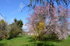 French property for sale in Genouillac, Creuse - €46,600 - thumbnail 10