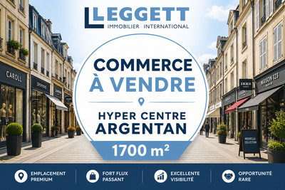 commercial for sale in Orne