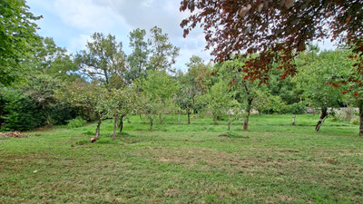 French property for sale in Luxé, Charente - €88,000 - photo 3