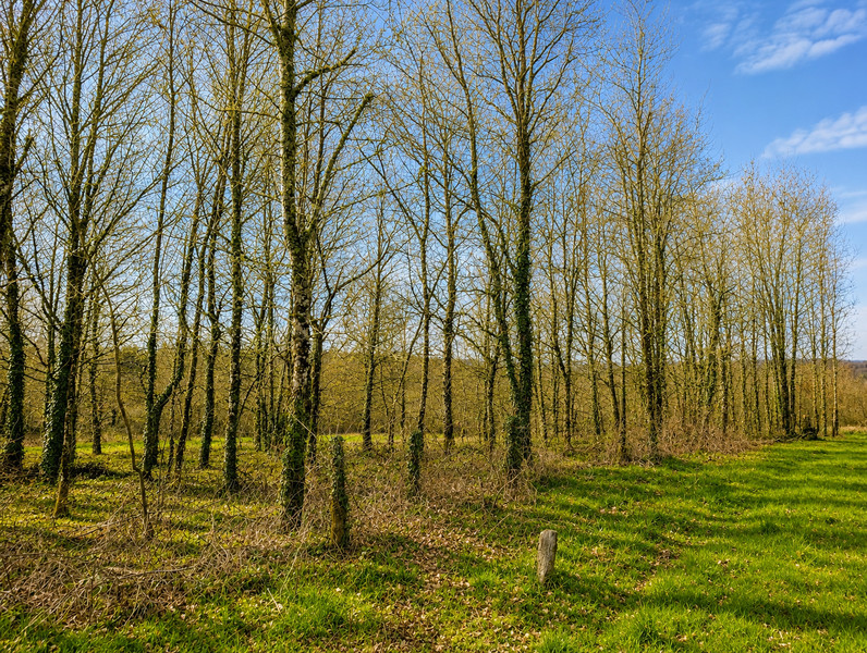 French property for sale in Dournazac, Haute-Vienne - €31,500 - photo 9