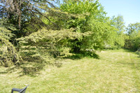 Propriété à vendre à Nérac, Lot-et-Garonne - 420 000 € - photo n°10