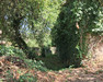 French property for sale in Blanzay, Vienne - €61,600 - thumbnail 14