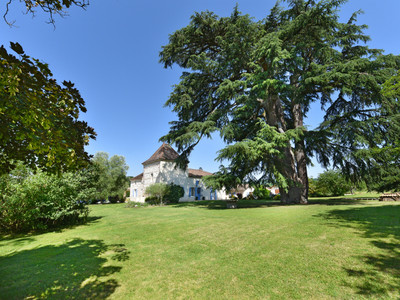 chateau for sale in Lot-et-Garonne