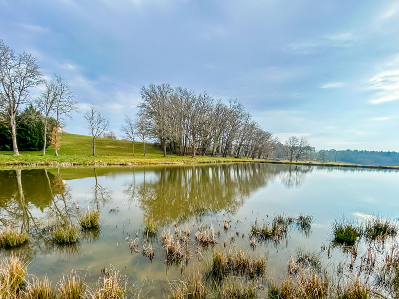 French property for sale in Saint-André-de-Double, Dordogne - €51,600 - photo 5