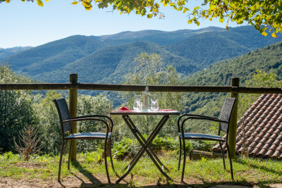 French property for sale in Le Bosc, Ariège - €1,000,000 - photo 9