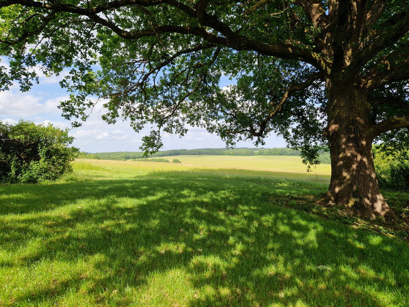 French property for sale in Marthon, Charente - €176,000 - photo 9