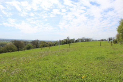 French property for sale in Belforêt-en-Perche, Orne - €575,000 - photo 7
