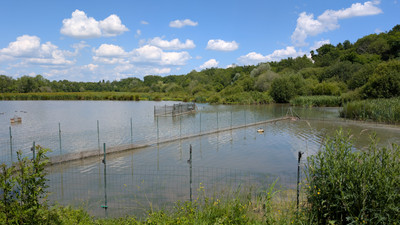 French property for sale in Izon, Gironde - €270,300 - photo 4