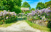 French property for sale in La Biolle, Savoie - €640,000 - thumbnail 9