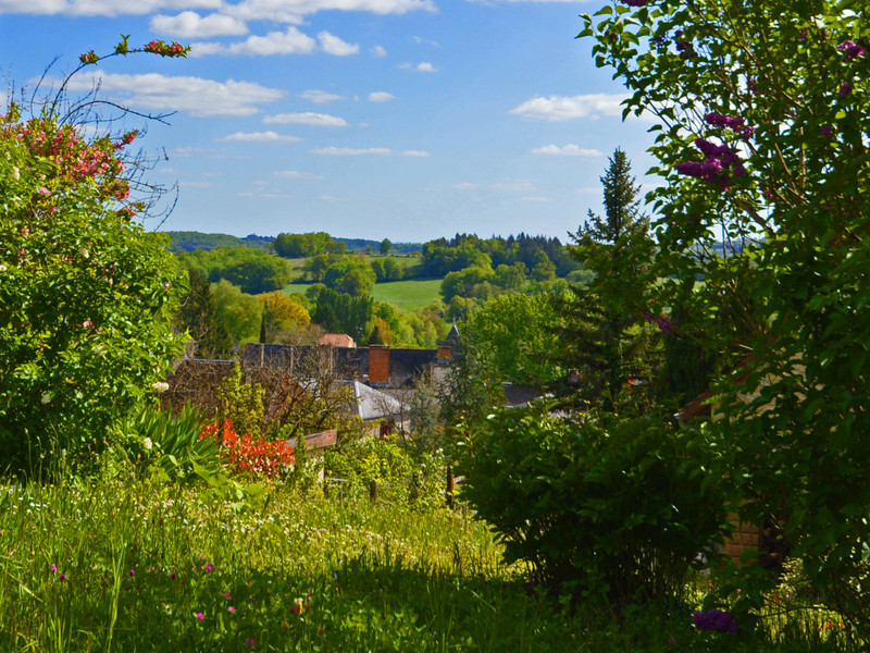 French property for sale in Badefols-d'Ans, Dordogne - €88,000 - photo 2