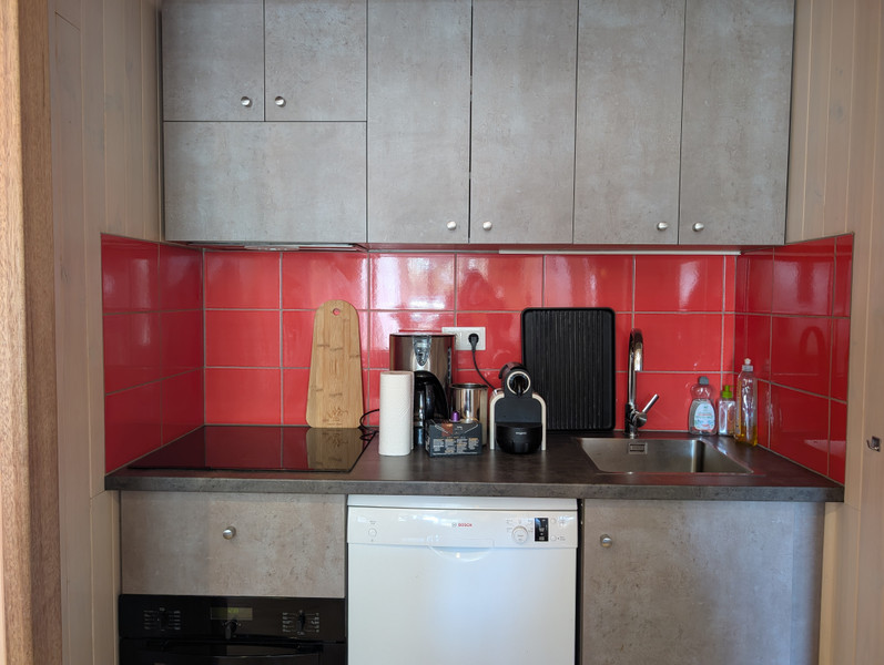 Ski property for sale in Les Deux Alpes 1350 - €424,000 - photo 3