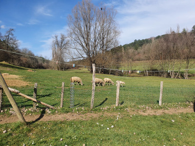 French property for sale in Rouffignac-Saint-Cernin-de-Reilhac, Dordogne - €682,500 - photo 6