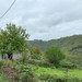 French property for sale in Menat, Puy-de-Dôme - €26,600 - thumbnail 9