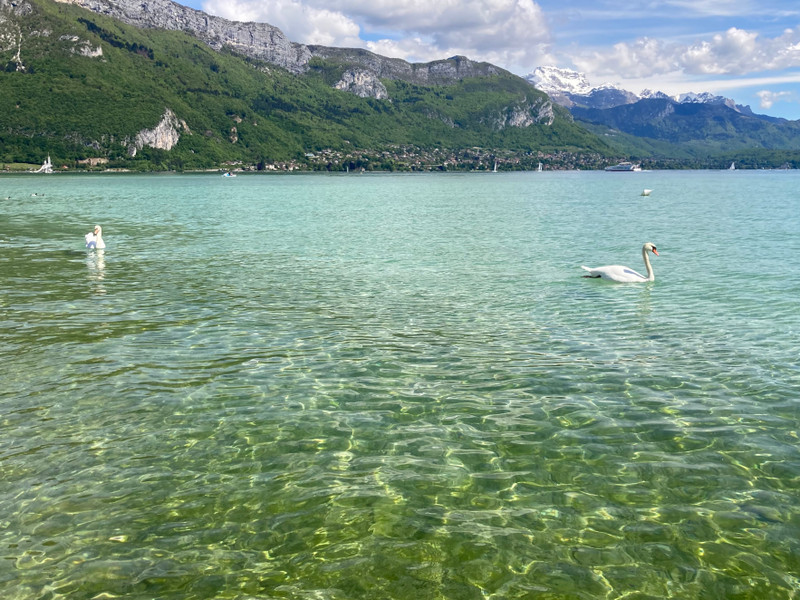 French property for sale in Annecy, Haute-Savoie - €460,000 - photo 3